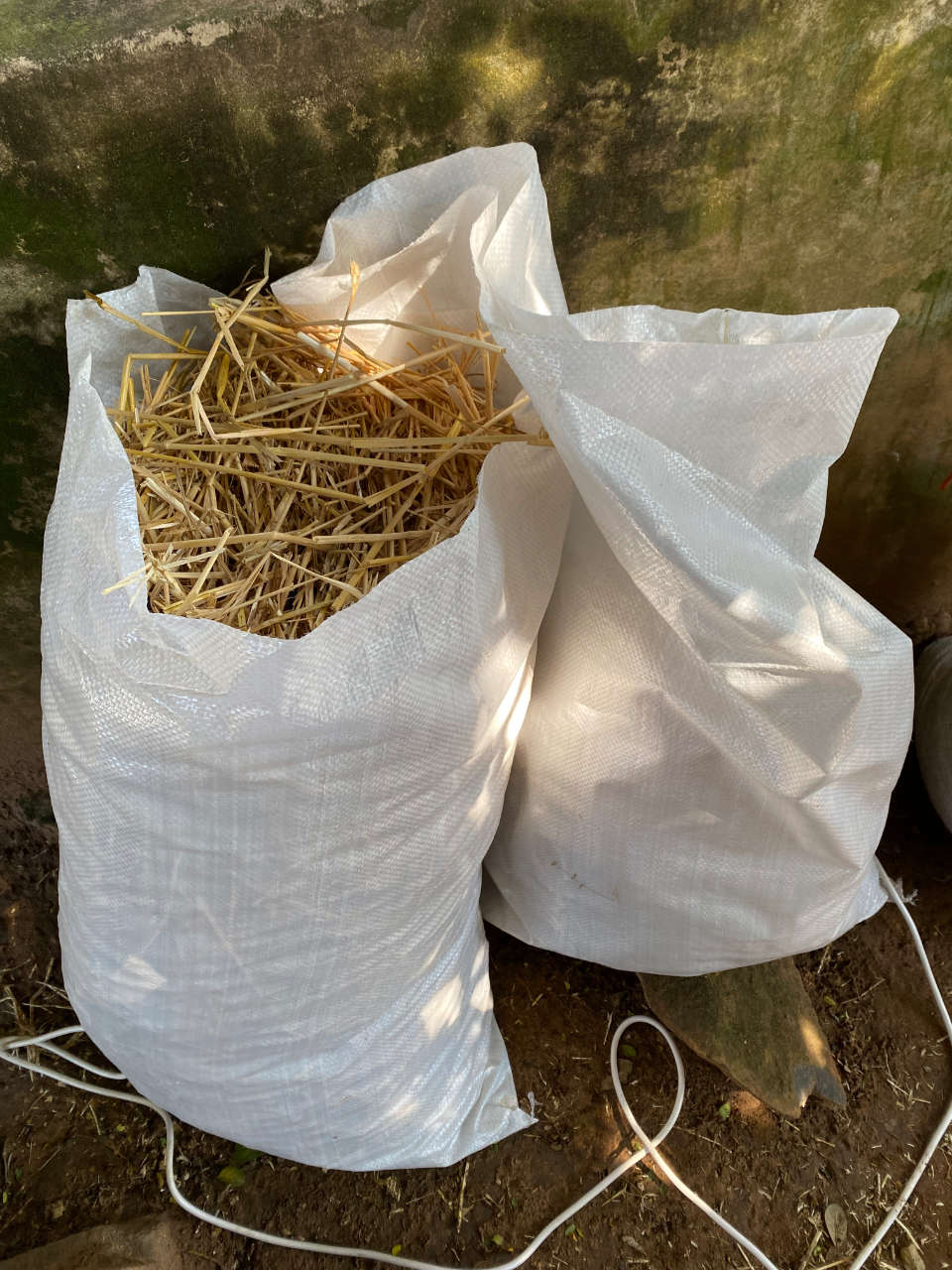 bags of straw