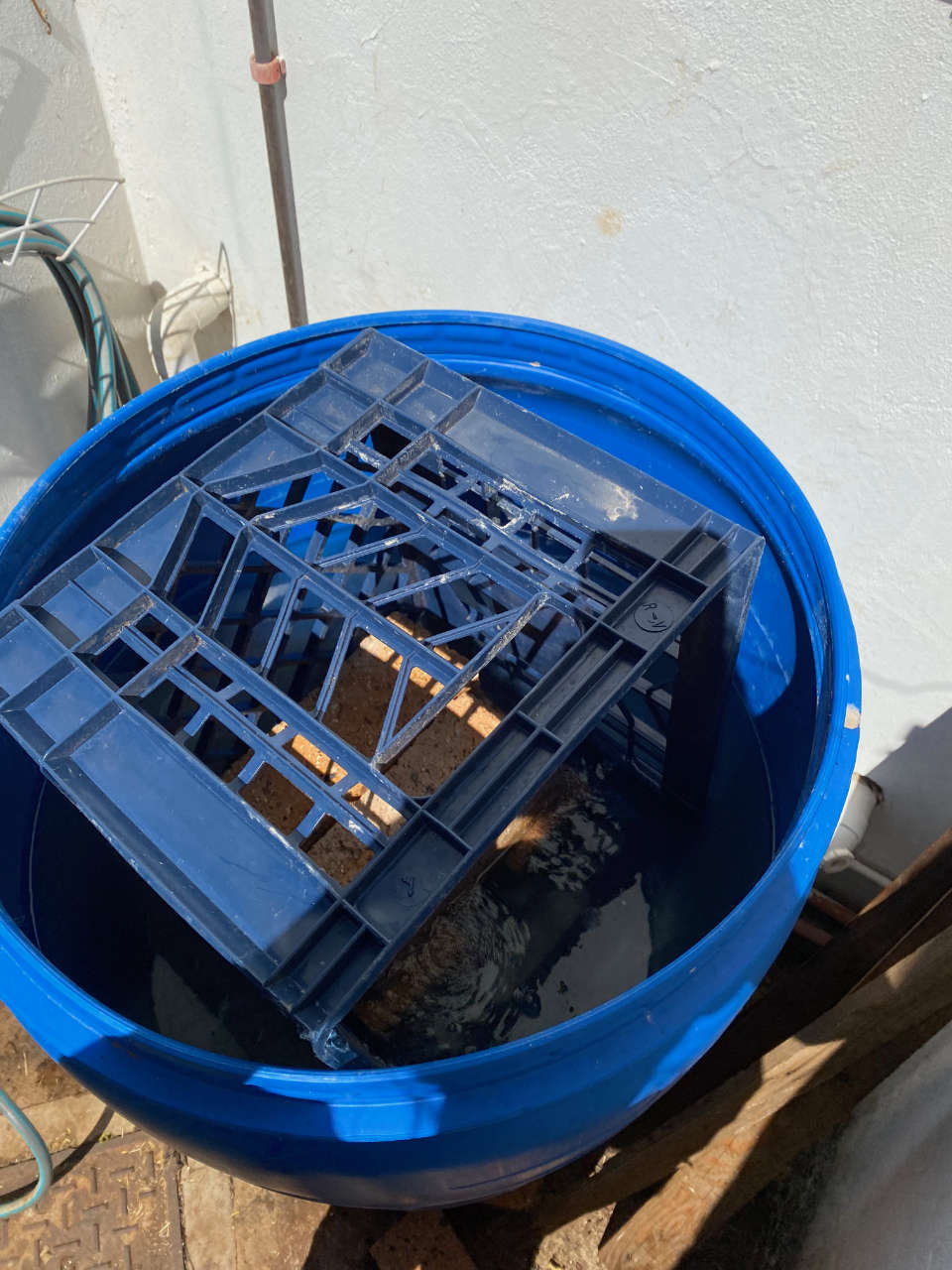 a 200L drum filled with water and a weight to keep substrate bags submerged