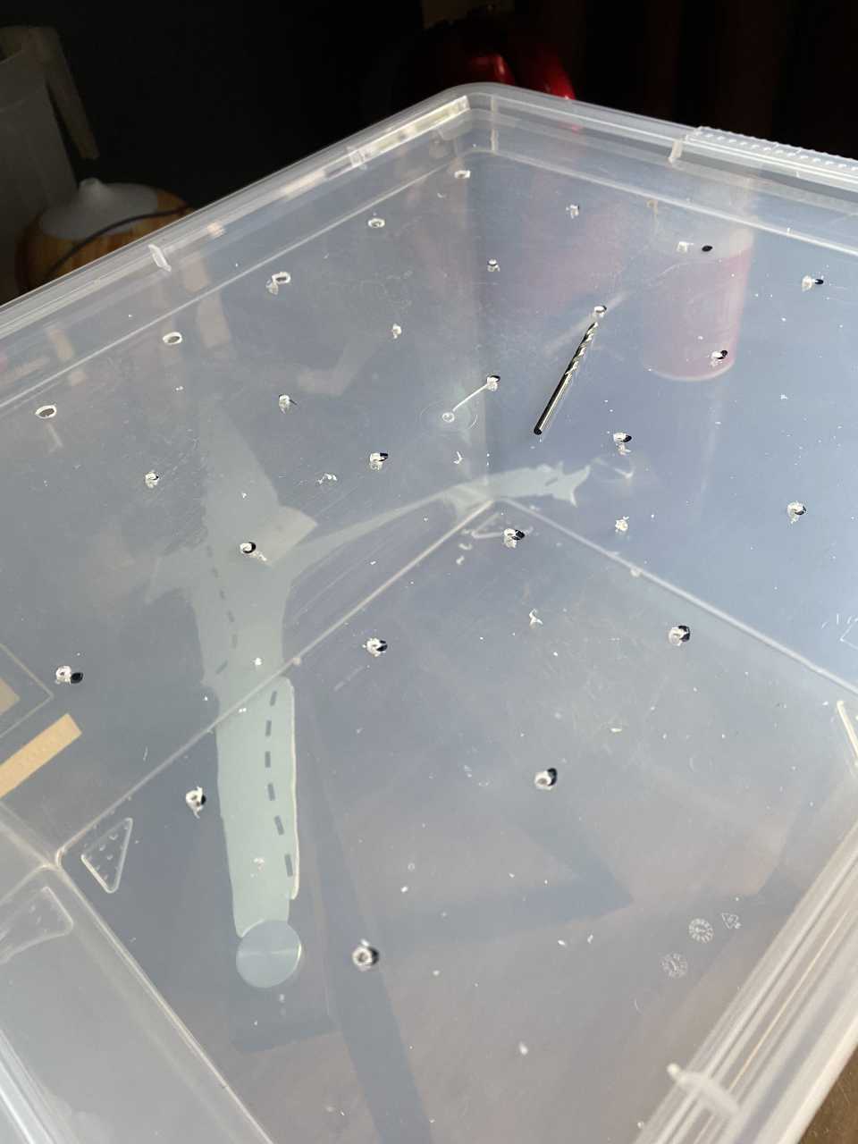 A really bad quality closeup of the first shotgun fruiting chamber I built