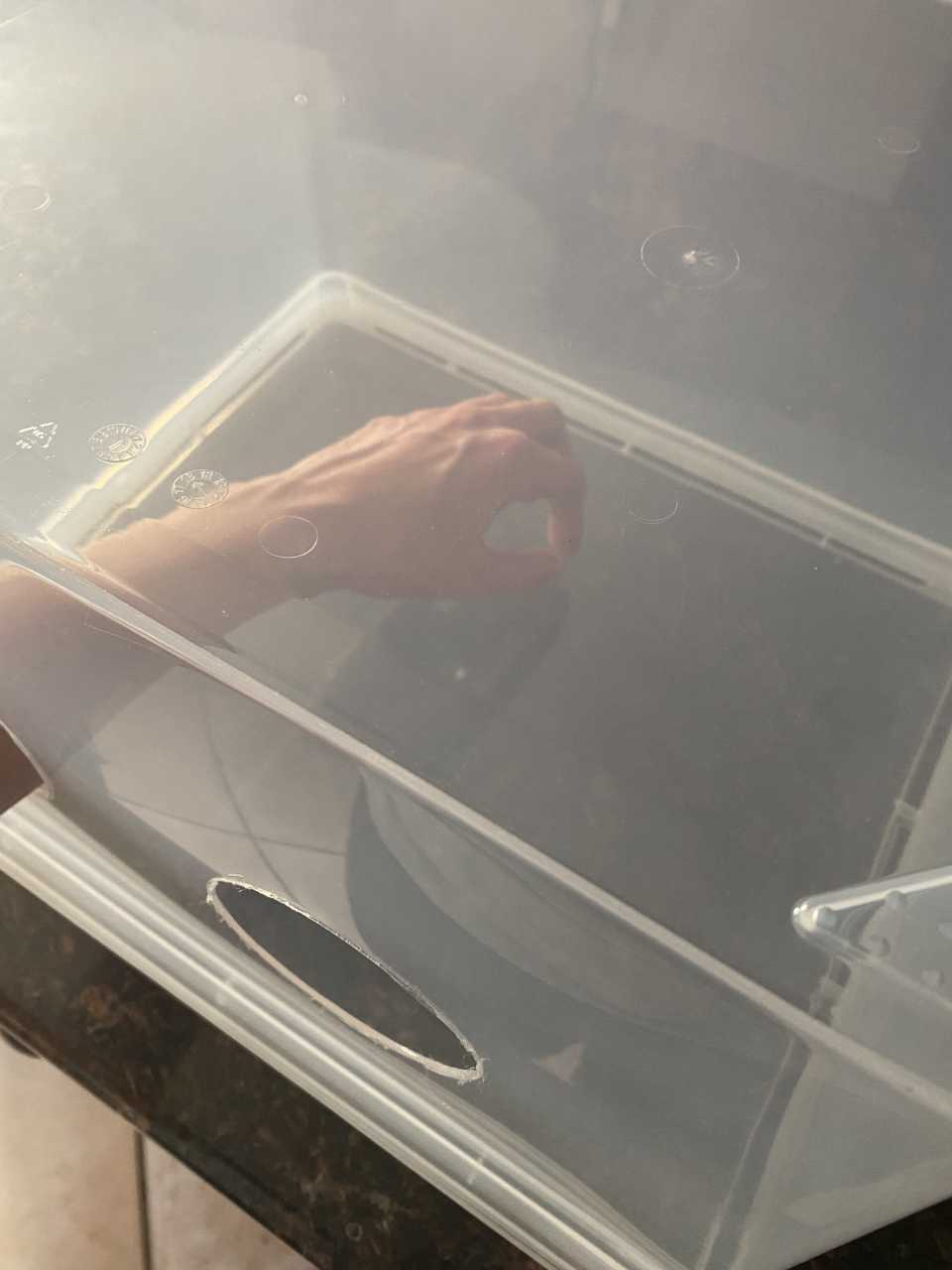 A hand inside a clear plastic tote