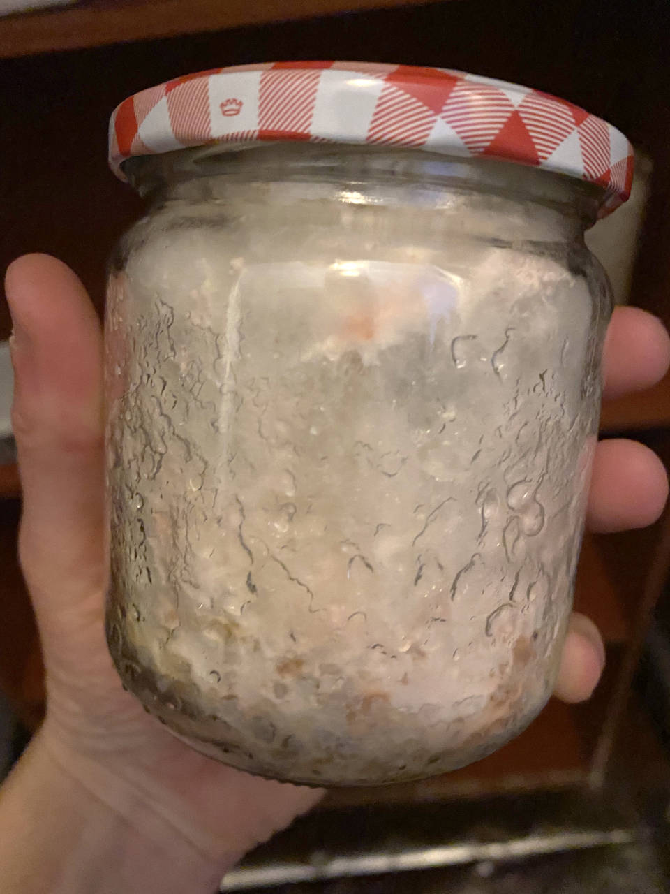 Fluffy pink oyster mycelium in a jar